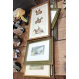 Collection of framed hunting and shooting postcards from early 1900's including Tuck & Sons.