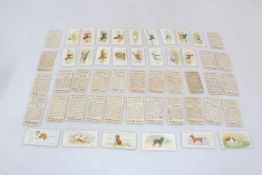 Cope Bros & Co Ltd 1912, Dogs of the World (English) complete set of 50 cards.