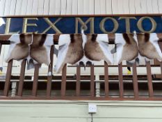 Set of three Springbok skin rugs.