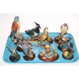 Collection of eleven bird ornaments including Beswick Lapwing and Beneagles Kestrel,