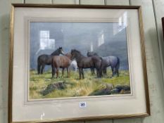 DM & EM Alderson, Wild Horses in Landscape, watercolour, signed and dated 1976 lower right,