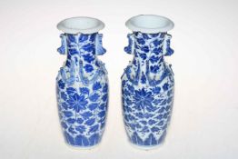 Pair of Chinese blue and white vases with raised Lizard design.