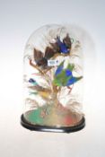 Victorian taxidermy of exotic birds on branches under dome, 41cm high.