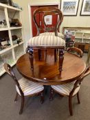 Circular mahogany pedestal dining table and set of six balloon back dining chairs.