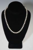 Pearl necklace of over fifty almost uniform pearls, with 9 carat gold clasp, 45cm length.