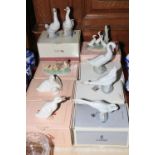 Eight Nao and one Lladro boxed bird ornaments.