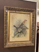 Mai, Pair of Chaffinches on Branches, oil on canvas, signed lower left, 38cm by 29cm, in gilt frame.