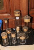 Collection of nine specimen jars.
