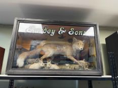 Taxidermy of a Red Fox, Baby Rabbits and a Stoat, case marked Purdey & Sons, 69cm high.