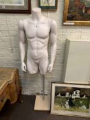 Male torso mannequin.