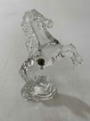 Waterford crystal rearing horse, 24cm, with box.