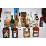 Fourteen bottles of spirits including two Cointreau, Amaretto, Bacardi, Pimm's, etc.