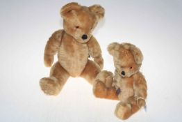 Two Farnell Alpha teddy bears (one growler), 29cm & 45cm high.