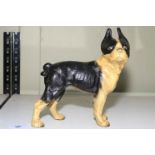 Cast iron Boston Terrier dog, 25cm.