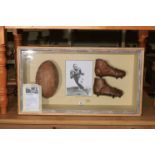 Johnny Lujack vintage ball and books in display cabinet (American Football interest).