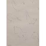 Alexander (Sandy) Gardner Framed pencil sketches, signed 'Five Doves' 35cm x 25cm