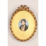 19th century portrait miniature on ivory, depicting a young gentleman, in a gilt gesso frame 12.