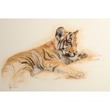 Spencer Hodge ARR Framed oil on canvas, signed 'Tiger Cub' 54cm x 80cm