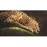Darren Baker ARR Framed pastel, signed 'Jaguar' 12.5cm x 24cm