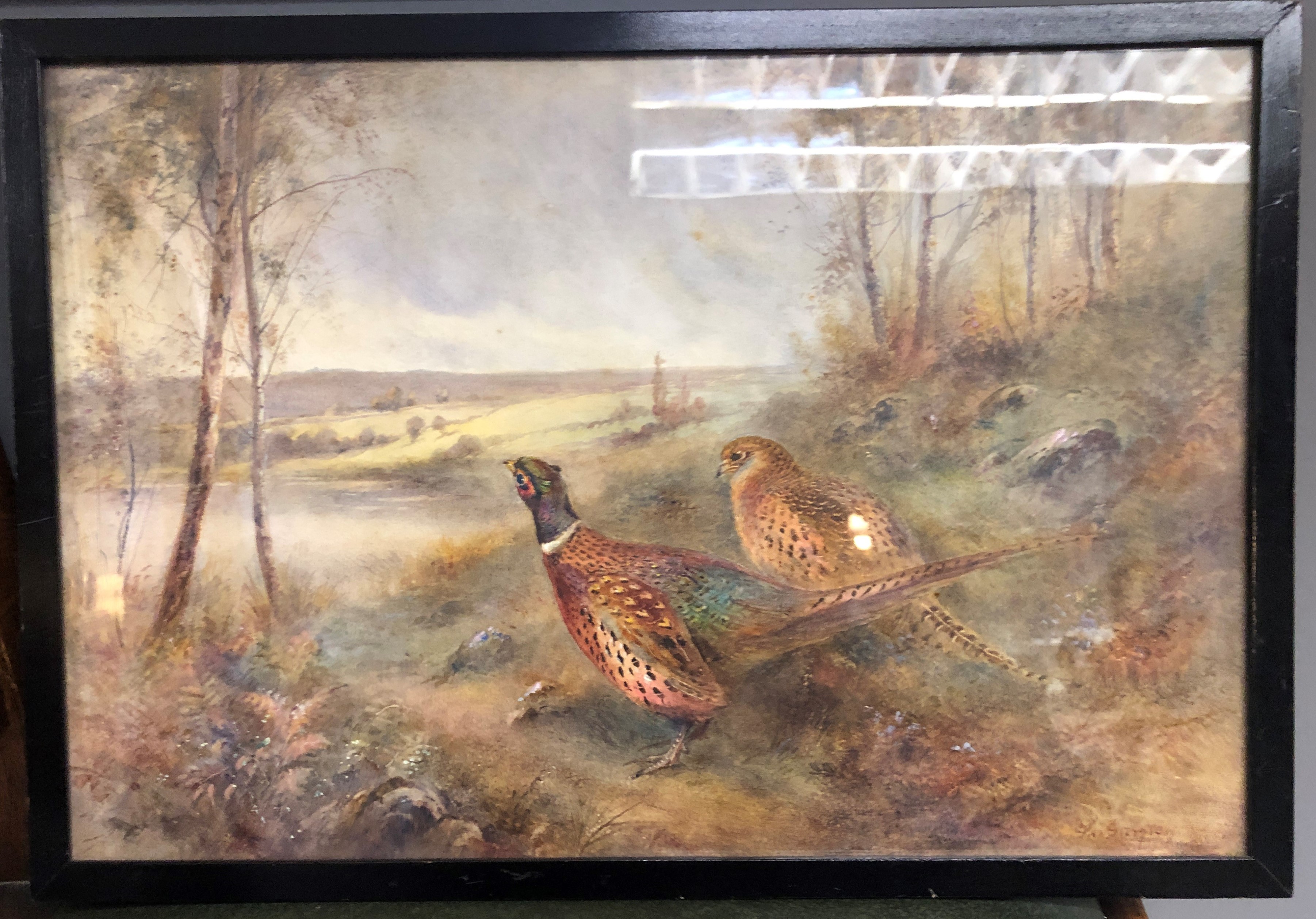 James Stinton (British 1870-1961) Pair framed watercolours, signed 'Grey Partridges in Farmland - Image 5 of 6