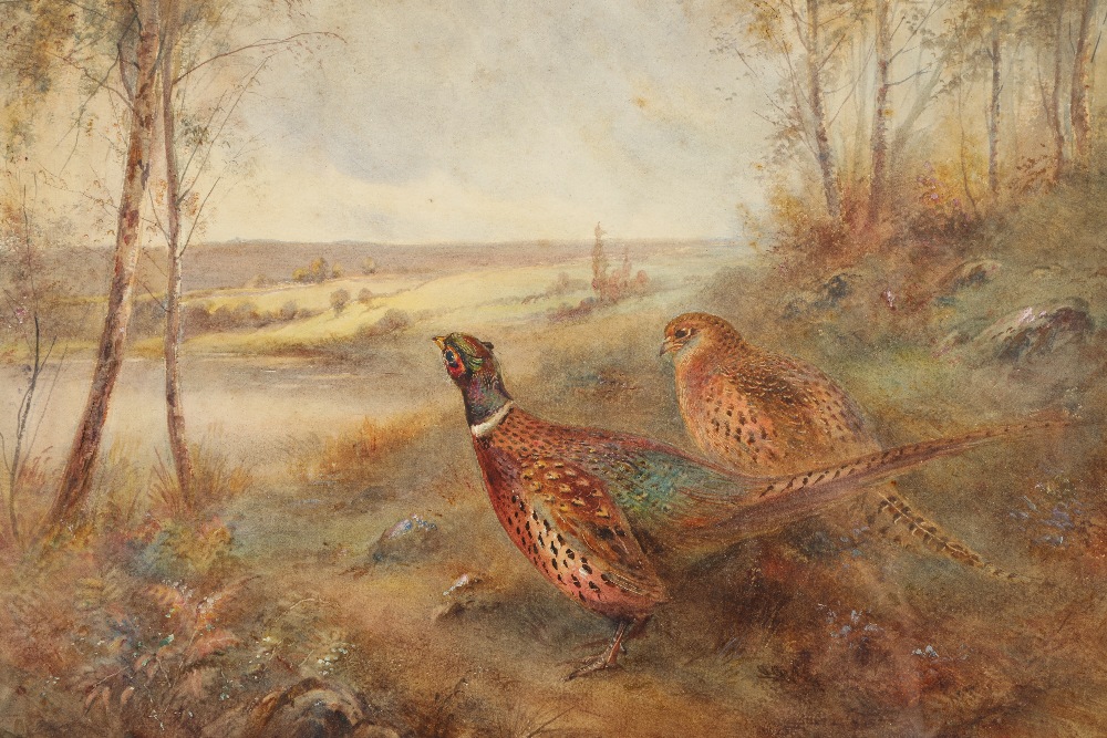 James Stinton (British 1870-1961) Pair framed watercolours, signed 'Grey Partridges in Farmland - Image 2 of 6