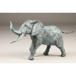Mark Rode (Irish), born 1965, Bronze sculpture, signed, No4/7 'Bull Elephant' Height 25cm. ARR