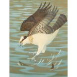 Ralston Gudgeon RSW (Scottish 1910-1984) Framed watercolour on paper, signed 'Osprey with Trout'