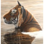 Jonathon Truss ARR Framed oil on canvas, signed 'Tiger Cooling in the Water' 102cm x 92cm
