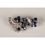 Ladies unmarked white gold diamond and sapphire cluster brooch, scrolling foliate form, set with