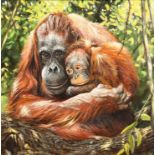 Steve Burgess ARR Framed oil on canvas, signed 'Motherly Love' (Orangutan) 25cm x 25cm