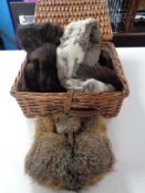 A wicker basket containing fox fur stoles