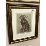 Clare Turner : Brown Hare, etching with aquatint in sepia, an artist's proof, signed in pencil,