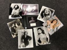 A collection of vintage press photos of Sharon Tate, Rita Hayworth, Grace Kelly, Jane Russell etc,