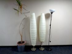 A plant in pot together with three contemporary floor lamps