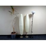 A plant in pot together with three contemporary floor lamps