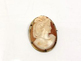 A late Victorian cameo brooch in 9ct gold frame, 37.3 mm x 48.