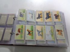 An album containing a quantity of Wills cigarette cards relating to dogs, Royal Navy, Australia,