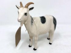 A Beswick china figure : Nigerian Pot-Bellied Pygmy Goat, model G223, white with black markings,