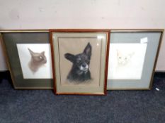 A framed drawing of a dog by Hogarth, dated 1995, together with two further signed pictures, cats,