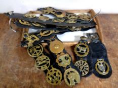 A quantity of horse brasses on nine leather straps,