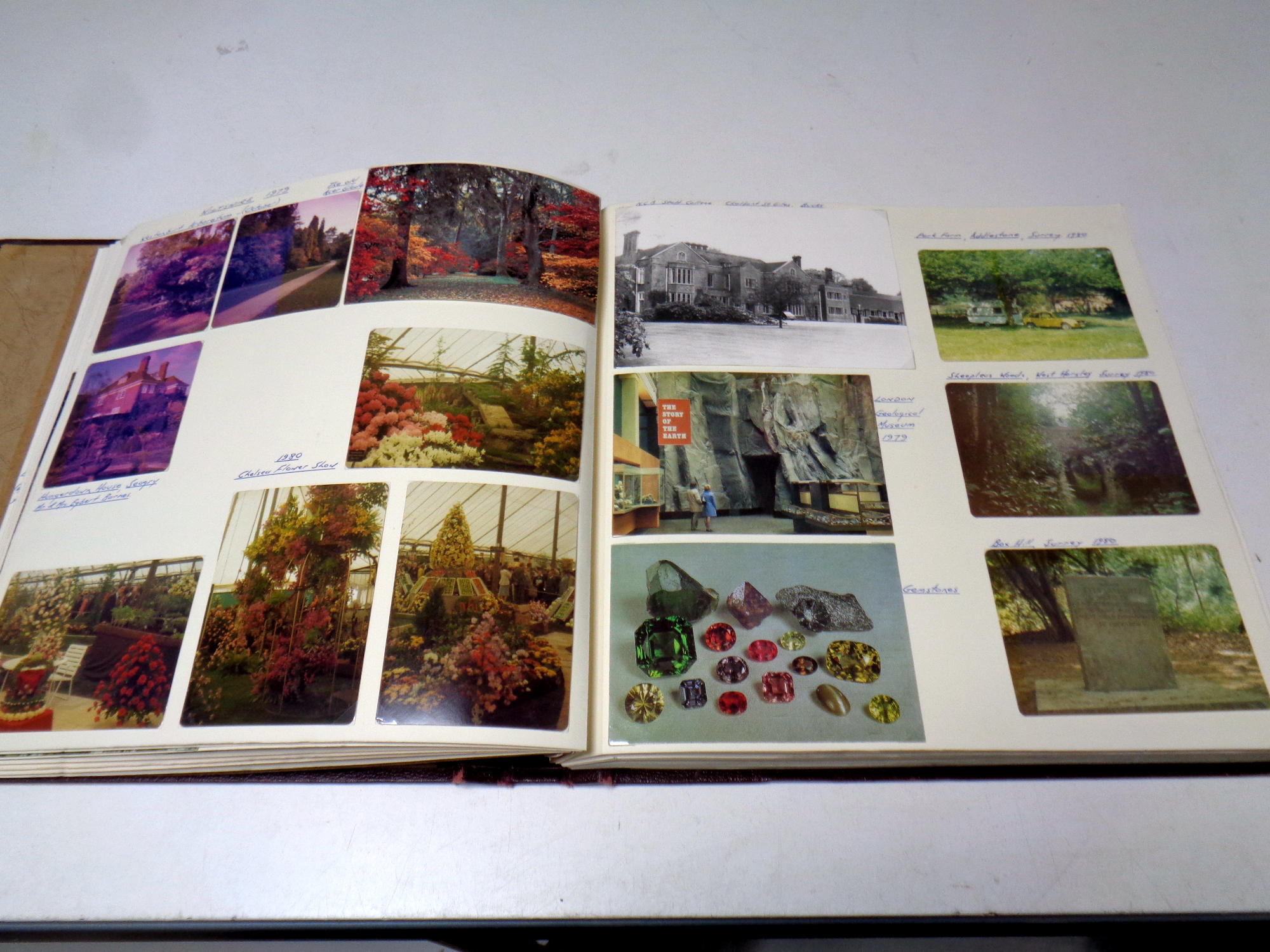 An album containing a large quantity of 20th century colour postcards, wildlife, tourist, Wiltshire, - Image 2 of 5