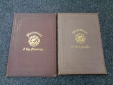 Two large vintage books containing the illustrations of Guy Mannering - From the Fine Arts in