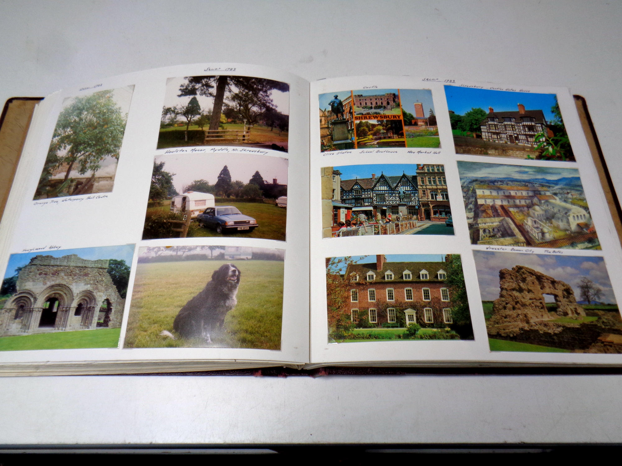 An album containing a large quantity of 20th century colour postcards, wildlife, tourist, Wiltshire, - Image 4 of 5