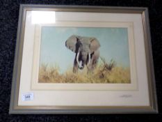 British Photographer David Shepherd, a signed print of an elephant in mount and also signed verso.