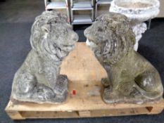 A pair of concrete lions,