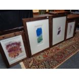 Four limited edition watercolours, indistinctly signed all by the same artist,