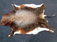 An antelope hide rug