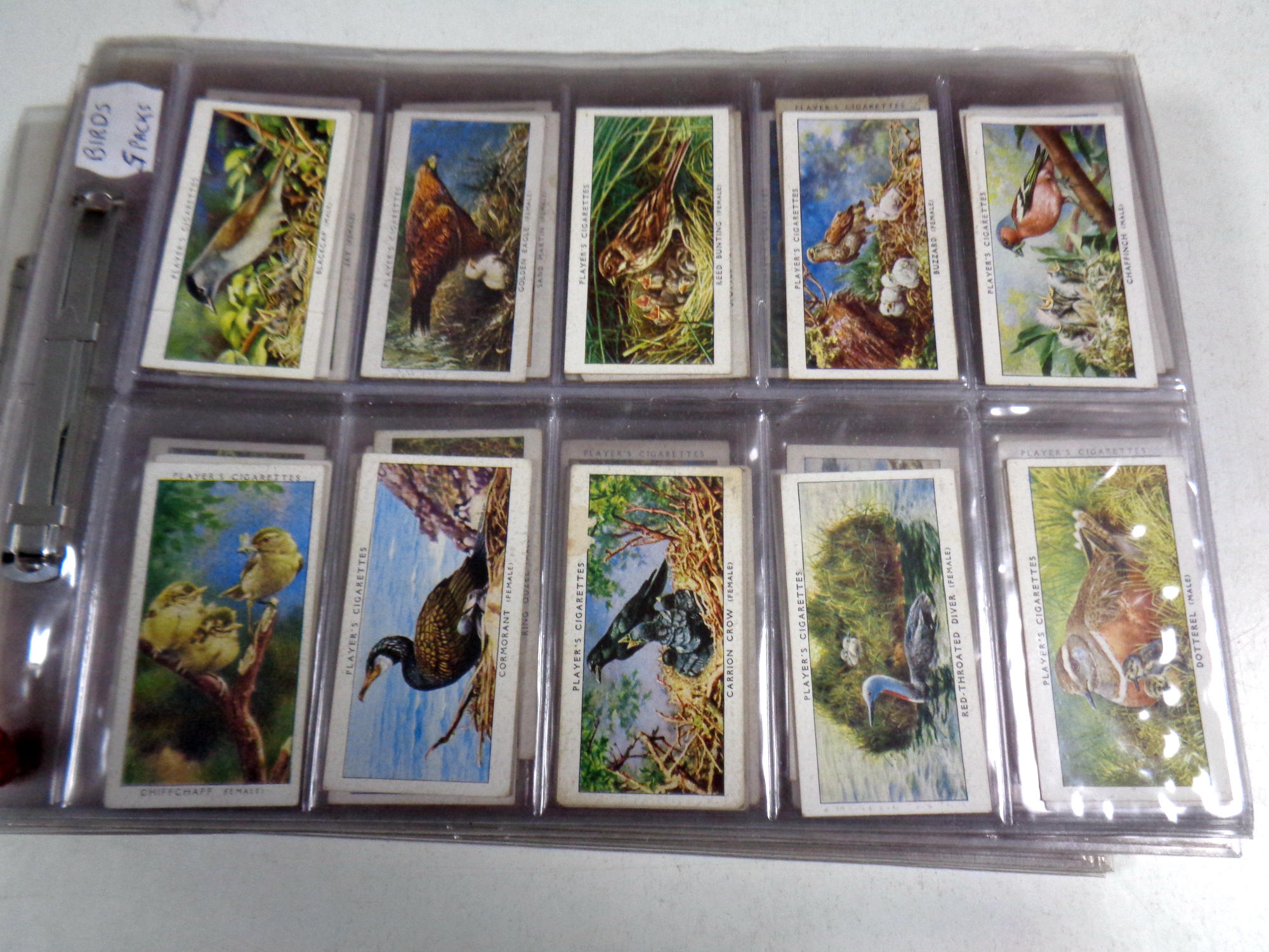 Quantity of John player Wills Gallagher and Ogden cigarette cards, fishes, seashore,