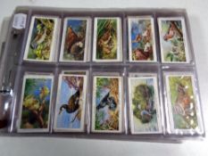 Quantity of John player Wills Gallagher and Ogden cigarette cards, fishes, seashore,