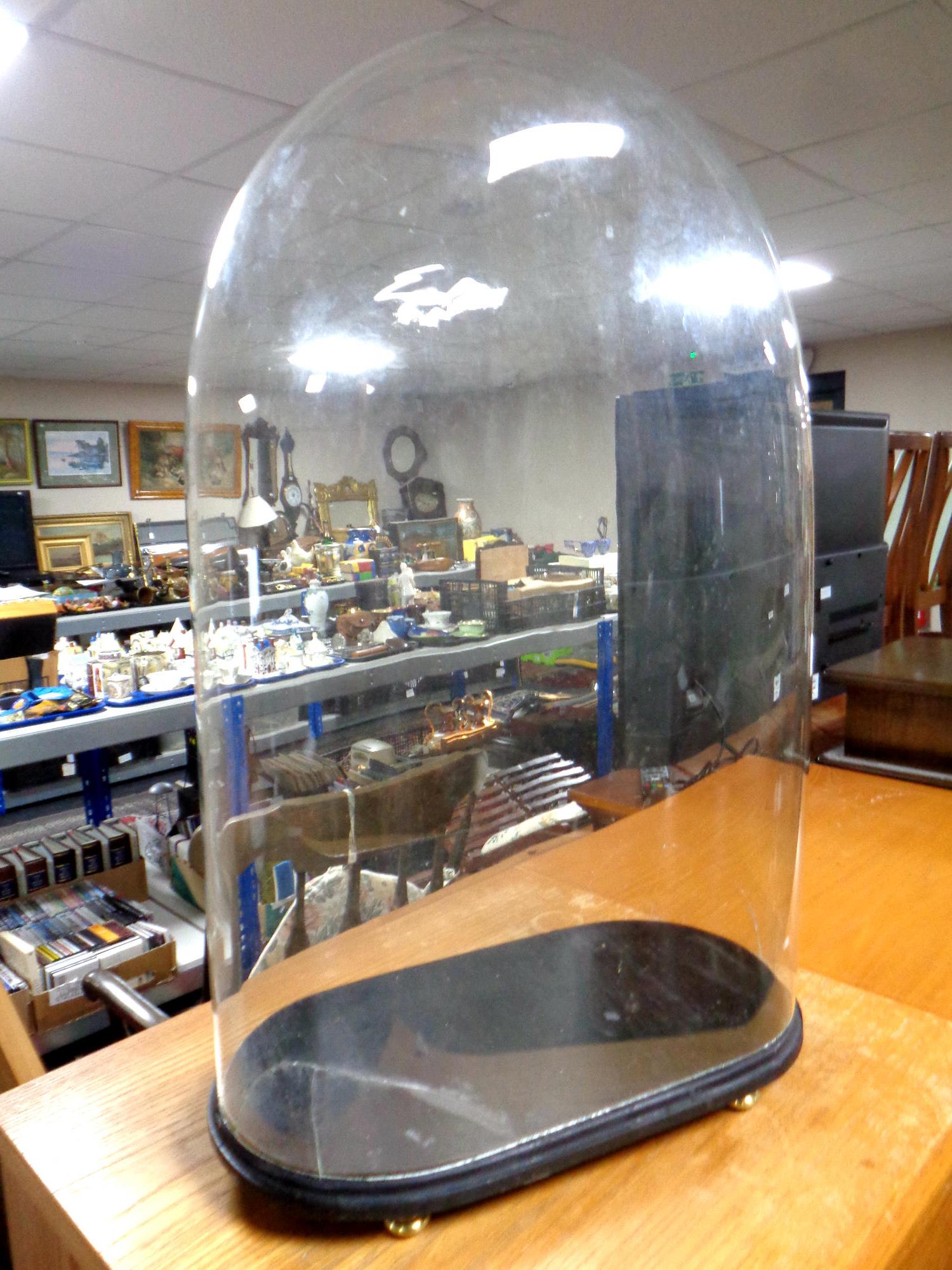 A Victorian glass dome on stand (Af), height 60 cm.